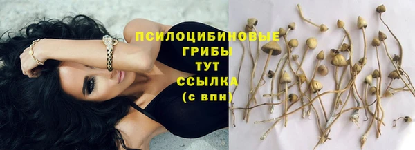 мдма Беломорск