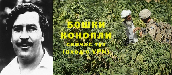 spice Белоозёрский